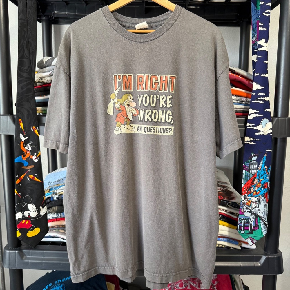 Vintage Grey Grumpy I'm Right You're Wrong Disney T Shirt XL